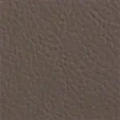 Brown Ochre A325